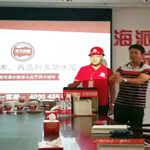 微创堵漏技术讲解